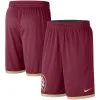 Men's Nike Garnet/Gold Florida State Seminoles Logo Performance Shorts