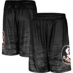 Men's Colosseum Black Florida State Seminoles Broski Shorts