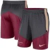 Men's Nike Anthracite/Garnet Florida State Seminoles Team Performance Knit Shorts