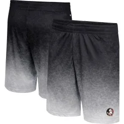 Men's Colosseum Charcoal Florida State Seminoles Walter Shorts