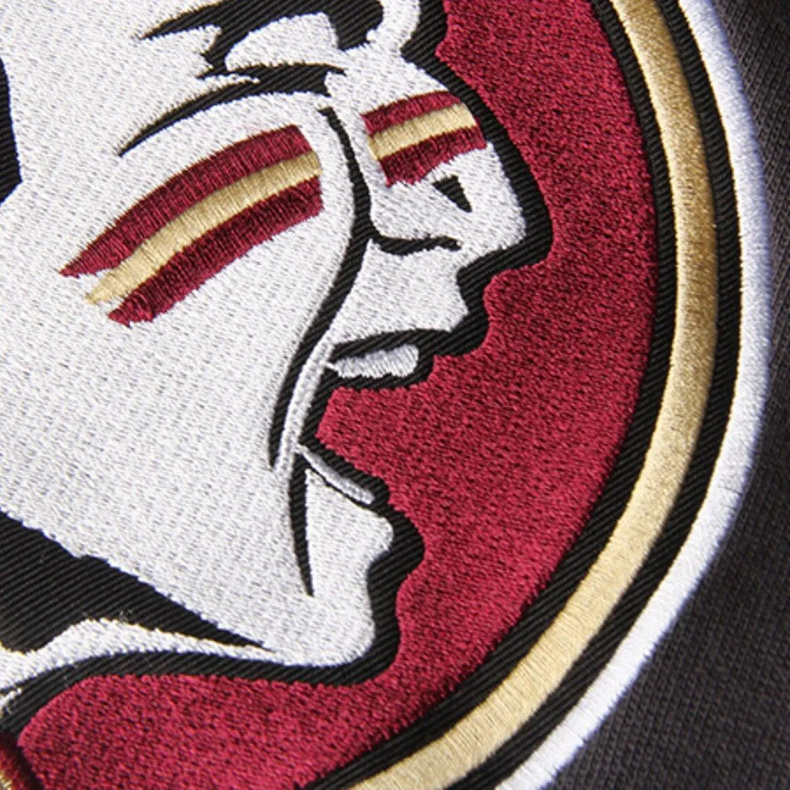 Colosseum Youth Charcoal Florida State Seminoles Big Logo Pullover Hoodie 3 Colosseum Youth Charcoal Florida State Seminoles Big Logo Pullover Hoodie - Image 3