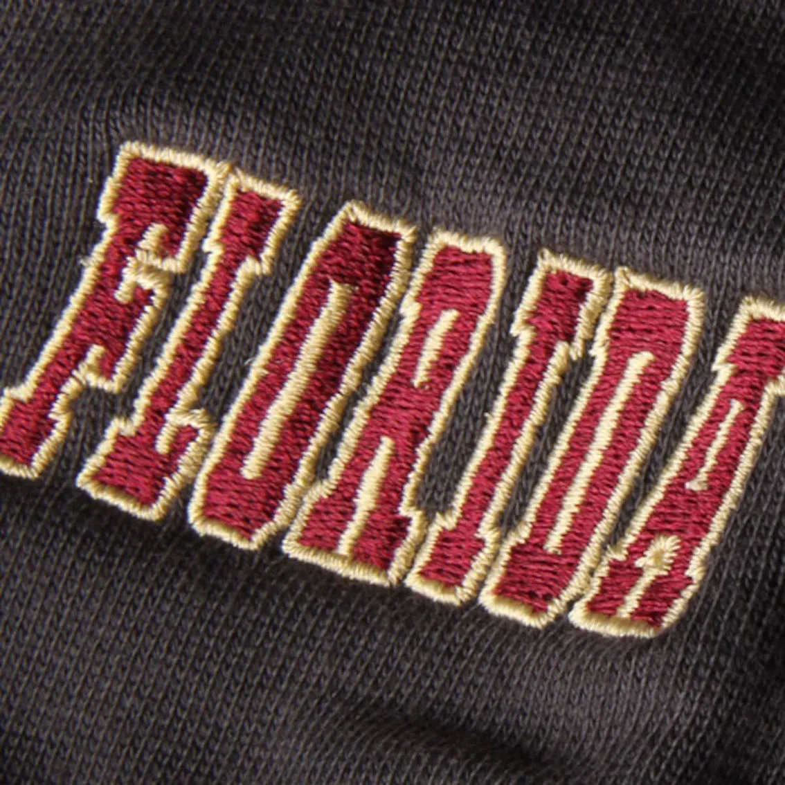 Colosseum Youth Charcoal Florida State Seminoles Big Logo Pullover Hoodie 4 Colosseum Youth Charcoal Florida State Seminoles Big Logo Pullover Hoodie - Image 4