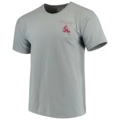 Image One Men's Gray Arizona State Sun Devils Team Comfort Colors Campus Scenery T-Shirt 6 Image One Men's Gray Arizona State Sun Devils Team Comfort Colors Campus Scenery T-Shirt -Arizona State Sun Devils Shop DSCO1137452015 1927 ALT2