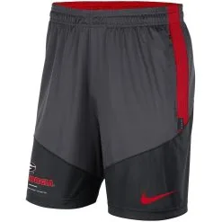 Men's Nike Charcoal/Black Georgia Bulldogs Team Performance Knit Shorts -Arizona State Sun Devils Shop DSCO1137485493 CKZW ALT2