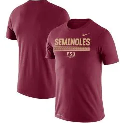 Nike Men's Garnet Florida State Seminoles Team DNA Legend Performance T-Shirt