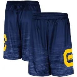 Men's Colosseum Navy Cal Bears Broski Shorts