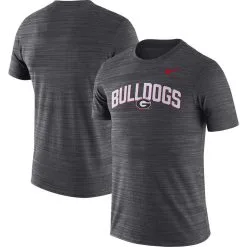 Nike Men's Black Georgia Bulldogs 2022 Game Day Sideline Velocity Performance T-Shirt