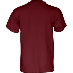 Blue 84 Men's Garnet Florida State Seminoles 2022 State S Football Score T-Shirt -Arizona State Sun Devils Shop DSCO1155956655 BLUERE ALT3